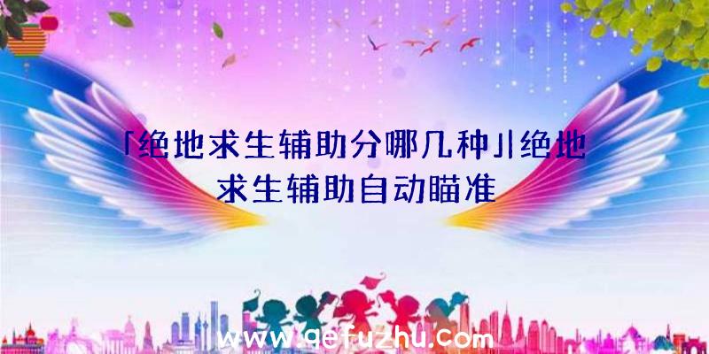 「绝地求生辅助分哪几种」|绝地求生辅助自动瞄准
